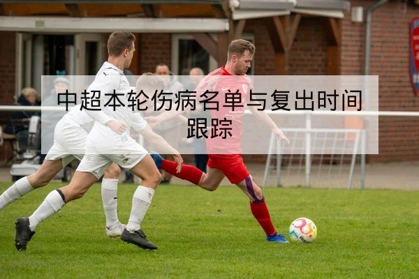 中超本轮伤病名单与复出时间跟踪
