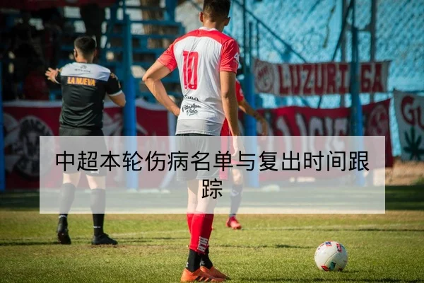 中超本轮伤病名单与复出时间跟踪